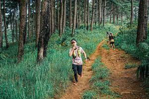 BIB: 
                            <button type="button" onclick="openModal(25668770)" class="btn btn-primary btn-sm float-right btn-popup" data-toggle="modal" data-target=".modal-high-quality">
                        <i class="fas fa-shopping-cart"></i> Add to Cart
                    </button>
                                            <button type="button" onclick="isThisMe(25668770, true)" class="btn btn-success btn-sm float-right btn-popup btn-isme hidden" data-toggle="tooltip" data-placement="bottom" title="นี่คือรูปของคุณใช่ไหม คลิกที่นี่เพื่อเอาเข้าอัลบั้ม">
                        <i class="fas fa-plus"></i> Add to album
                    </button>
                    <button type="button" onclick="isThisMe(25668770, false)" class="btn btn-warning btn-sm float-right btn-popup btn-isnotme hidden">
                        <i class="fas fa-ban"></i> Remove from album
                    </button>